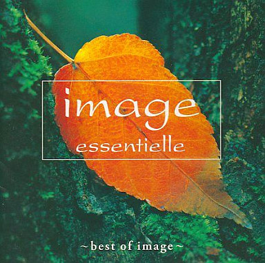 image essentielle